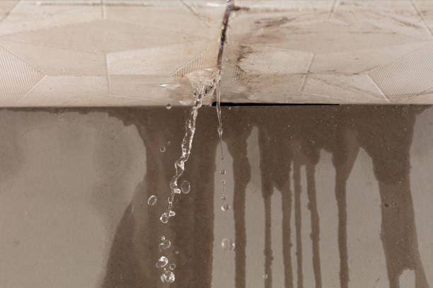 Professional Structural Drying technician working in DeWitt, AR
